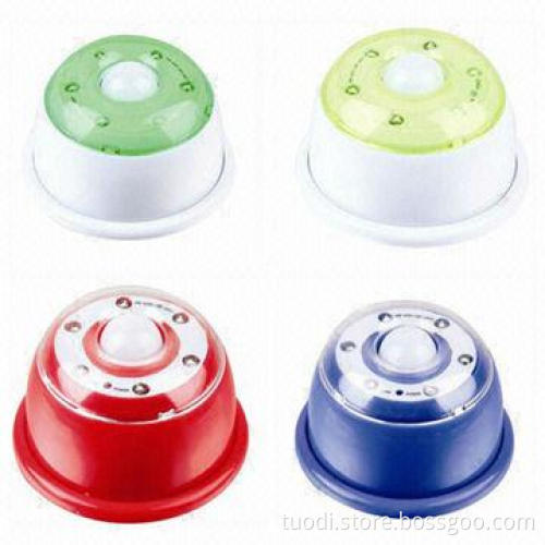 LED security light